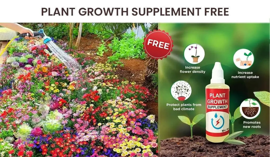 Buy Varieties of Flower Seeds (Pack of 100) And Get Plant Growth Supplement Free 5921f9-c7