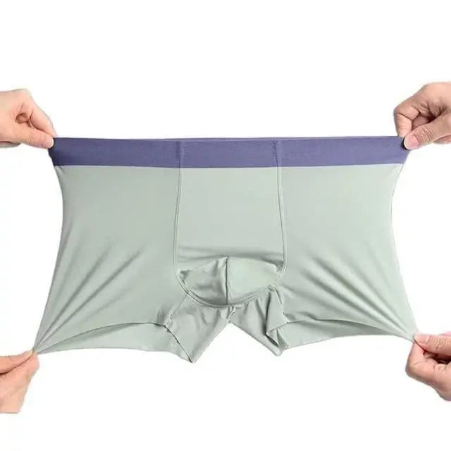 Men's  Ice Silk Briefs Boxers (Pack of 5) 5921f9-c7