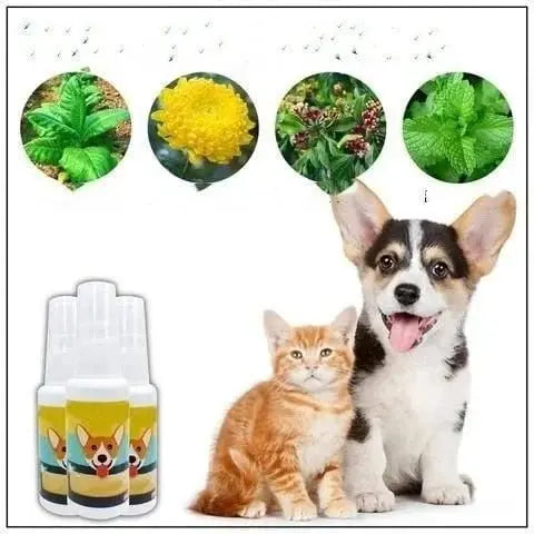 Natural Potty Training Spary for Dog & Cat (Pack of 2) 30ml each 5921f9-c7