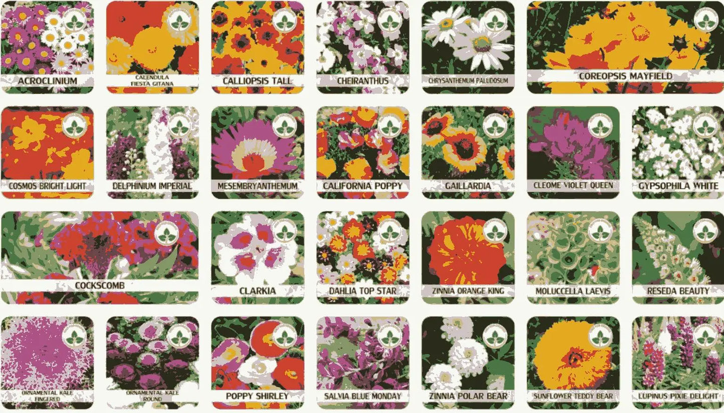 Buy Varieties of Flower Seeds (Pack of 100) And Get Plant Growth Supplement Free 5921f9-c7