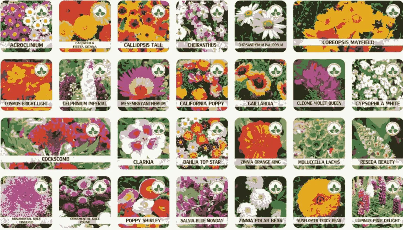 Buy Varieties of Flower Seeds (Pack of 100) And Get Plant Growth Supplement Free 5921f9-c7